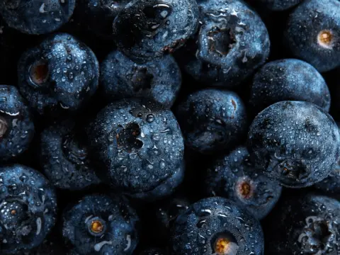 Blueberries